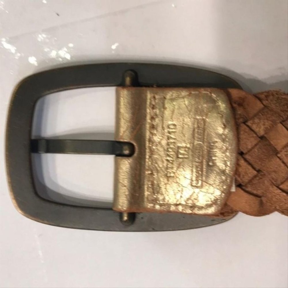 Fossil Belt - Picture 4 of 8